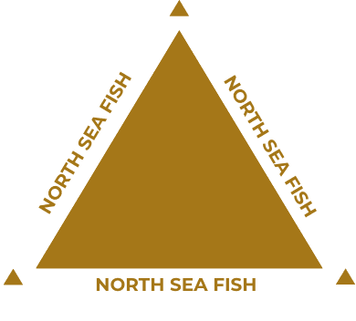 NORTH SEA FISH